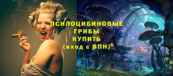 не бодяженный Елабуга