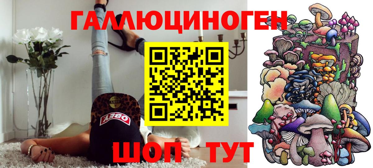 Галлюциногенные грибы Psilocybe  Карабулак 