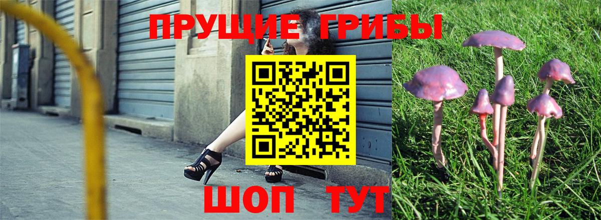 Псилоцибиновые грибы прущие грибы  Вход с VPN  Карабулак 