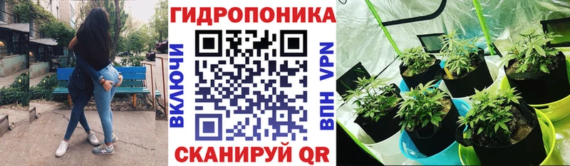 Бошки марихуана сатива  KRAKEN онион  Карабулак 